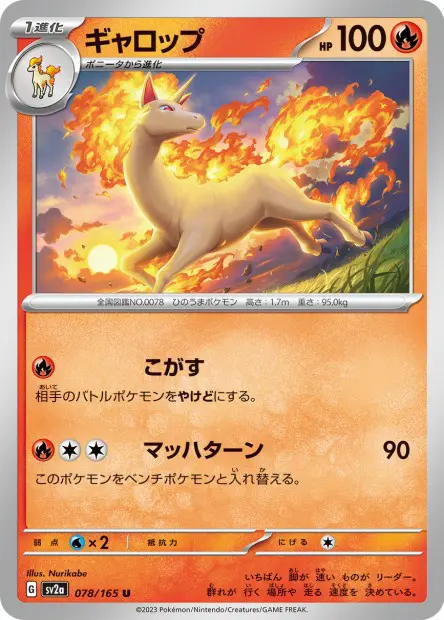 Rapidash -  -  - Peu commune