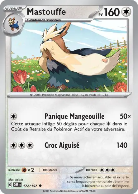 Mastouffe -  -  - Peu commune