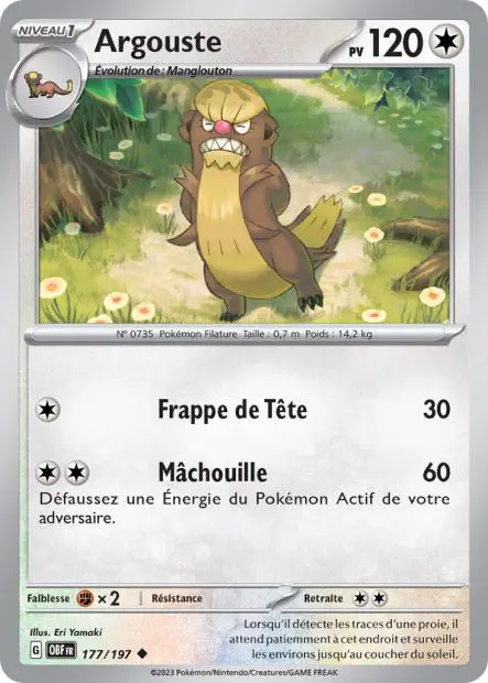 Argouste -  -  - Peu commune