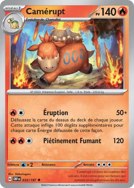 Camerupt -  -  - Peu commune