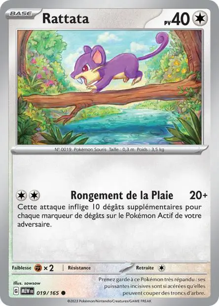 Rattata -  -  - Commune