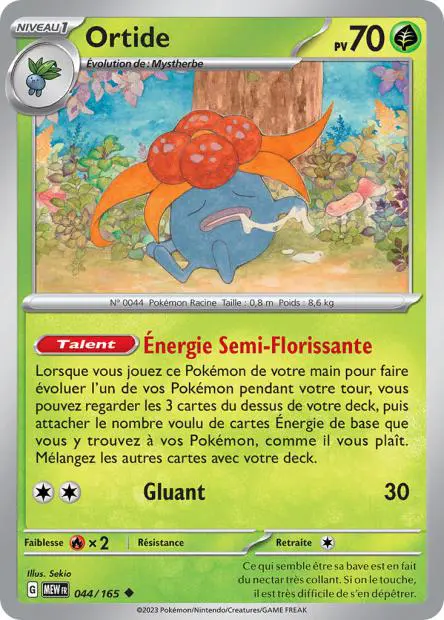 Ortide -  -  - Peu commune