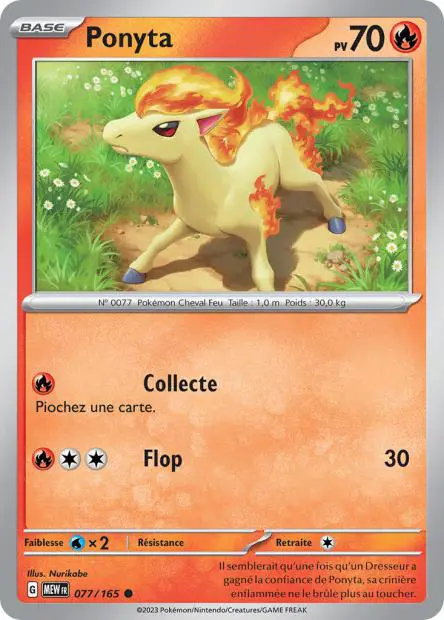 Ponyta -  -  - Commune