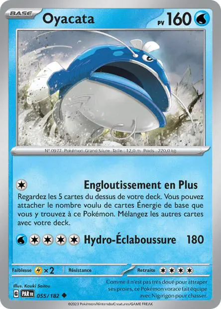 Oyacata -  -  - Peu commune