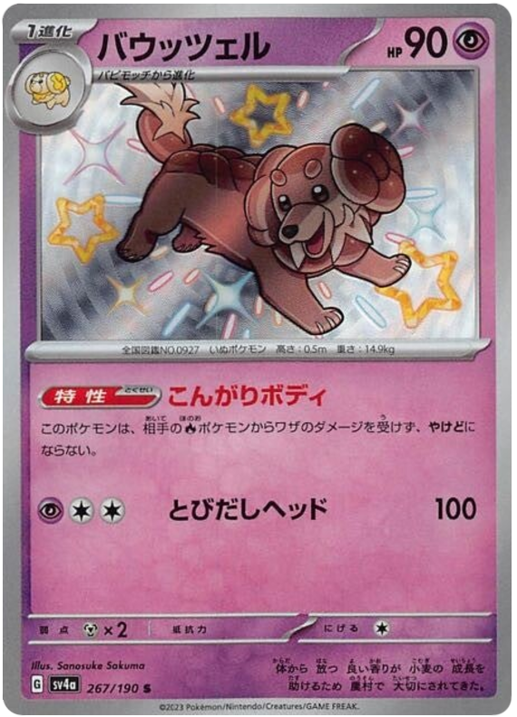 Dachsbun -  -  - Ultra rare
