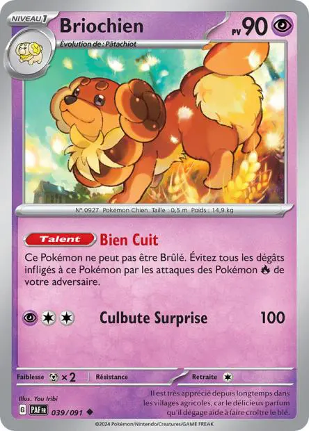 Briochien -  -  - Peu commune
