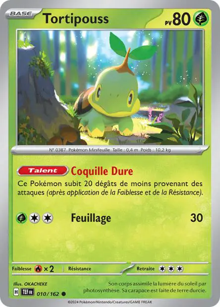 Tortipouss -  -  - Commune