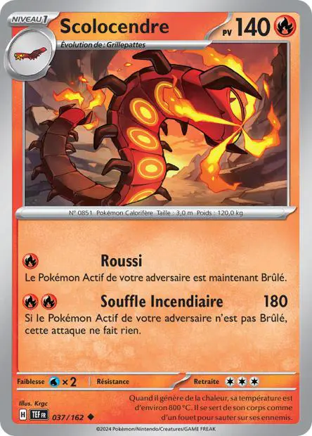 Scolocendre -  -  - Peu commune