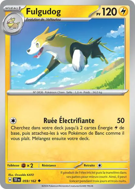 Fulgudog -  -  - Peu commune