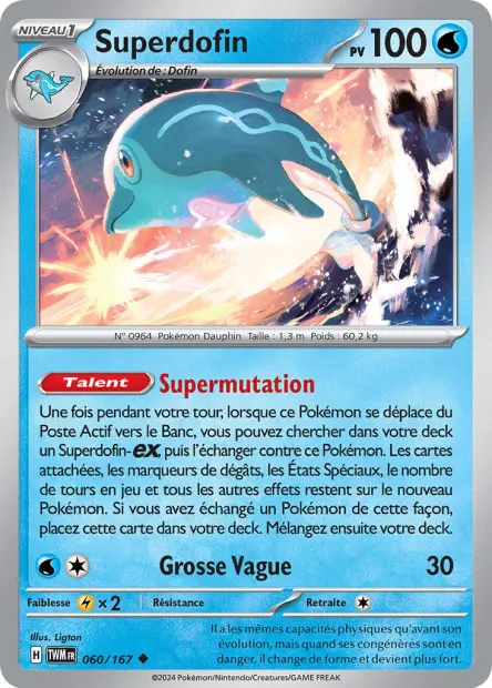 Superdofin -  -  - Peu commune