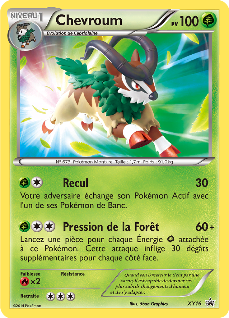 Chevroum - Promo XY - XY16 - Commune