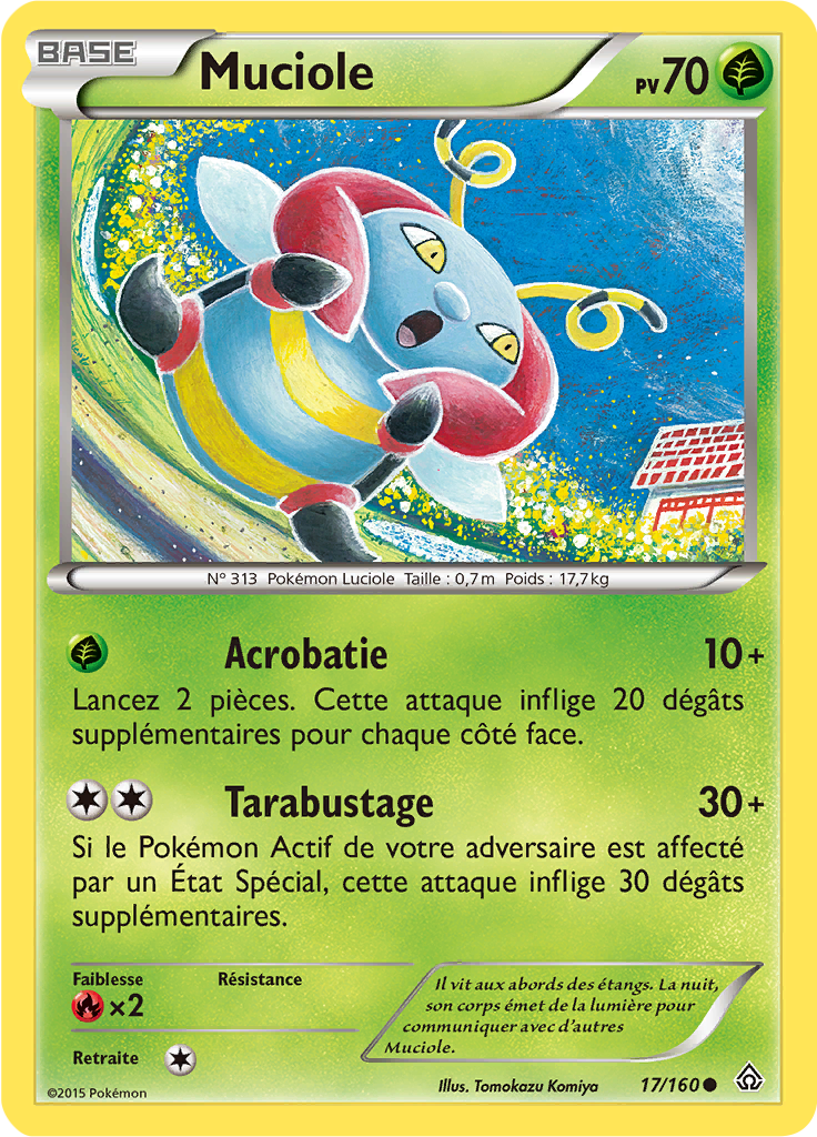 Muciole - XY Primo-Choc - 017 - Commune