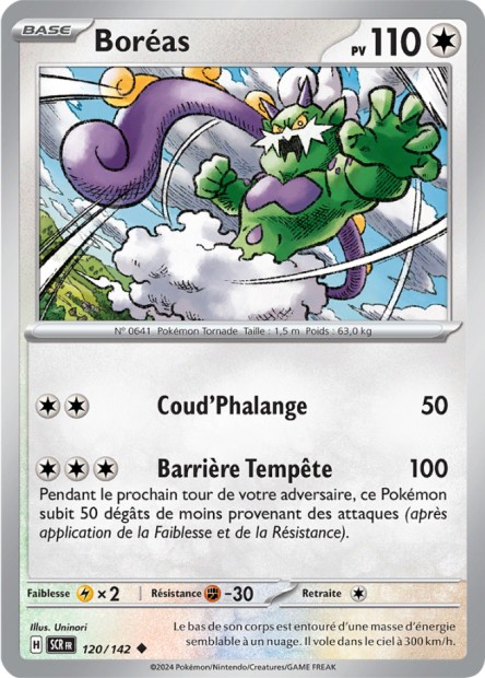 Boréas -  -  - Peu commune