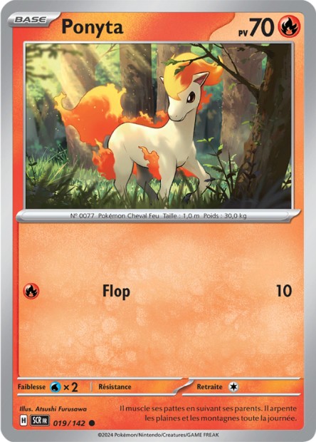 Ponyta -  -  - Commune