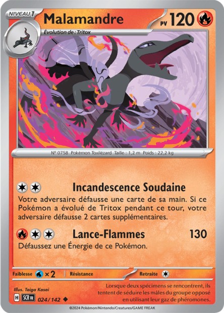 Malamandre -  -  - Peu commune