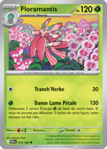 Floramantis -  -  - Peu commune