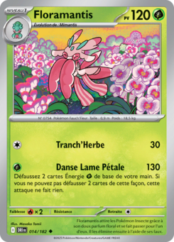 Floramantis -  -  - Peu commune
