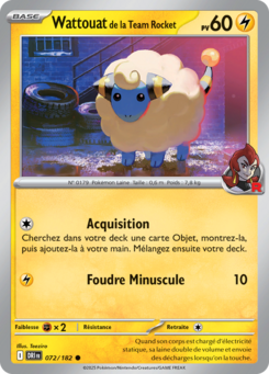 Wattouat de la Team Rocket -  -  - Commune