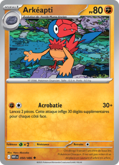 Arkéapti -  -  - Peu commune
