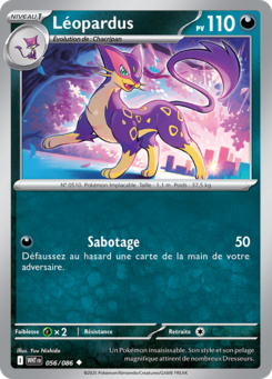 Léopardus -  -  - Peu commune