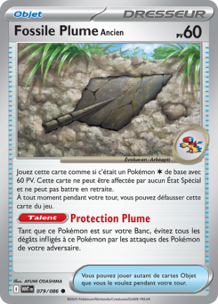 Fossile Plume Ancien -  -  - Commune
