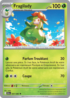 Fragilady -  -  - Peu commune