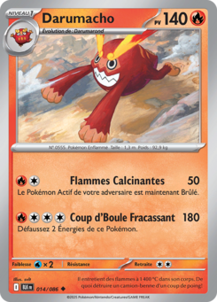 Darumacho -  -  - Peu commune