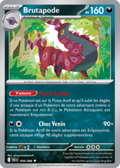 Brutapode -  -  - Peu commune