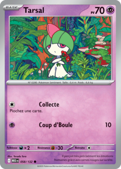 Carte Pokémon Tarsal 058/132 - Méga-Évolution - Commune
