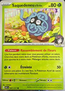 Saquedeneu d'Erika - Promo MEP - ASC FR 007/217