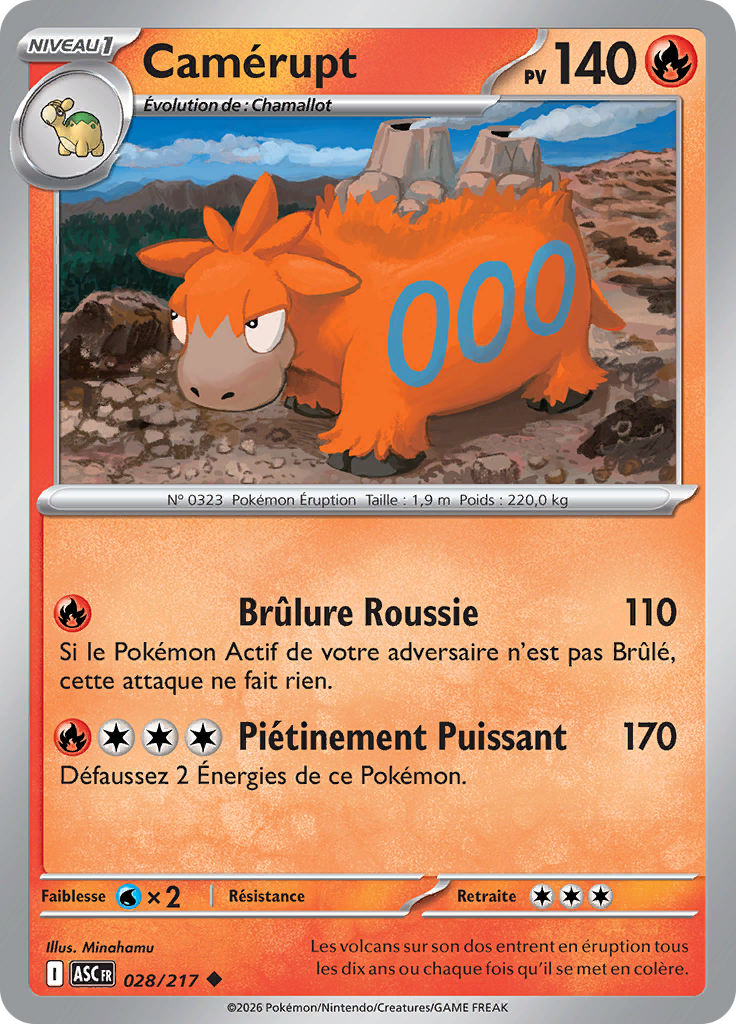 Camérupt -  -  - Peu commune