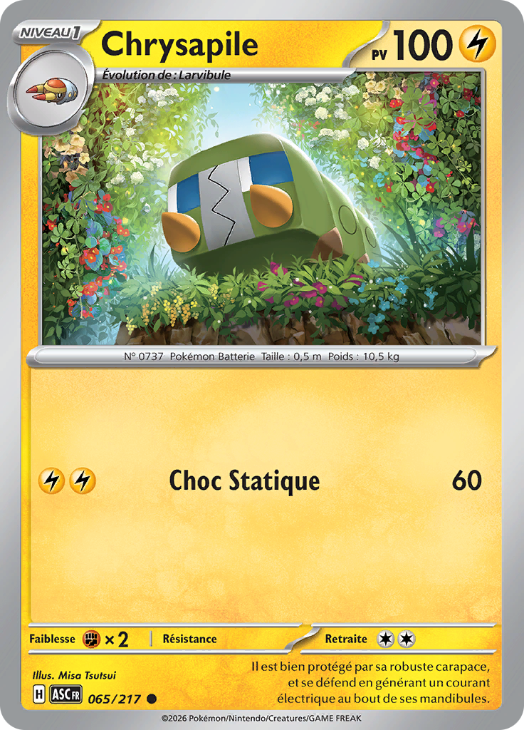 Chrysapile -  -  - Commune