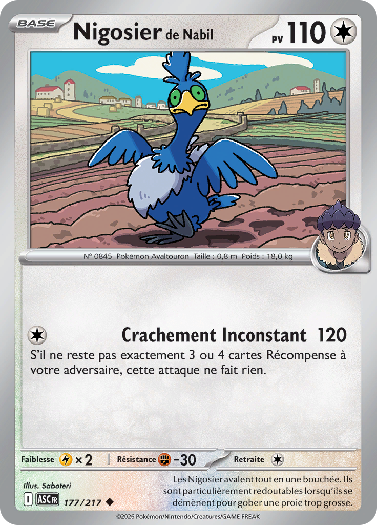 Nigosier de Nabil -  -  - Peu commune