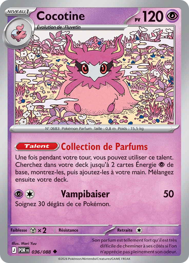 Cocotine -  -  - Peu commune