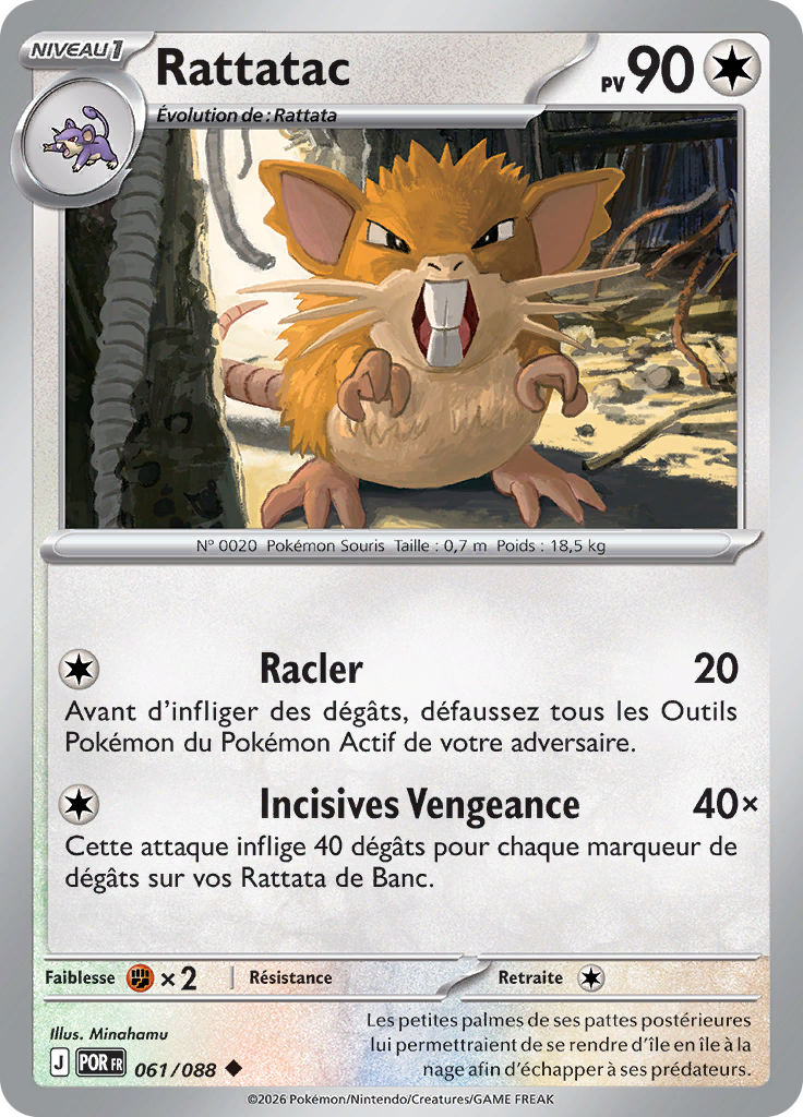 Rattatac -  -  - Peu commune